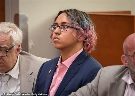 Gay Teen Who Fatally Stabbed His Year Old Classmate Testifies He Was Bullied For Years