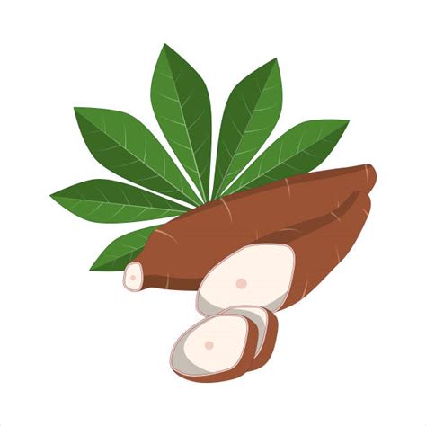 100 Daun Singkong Ilustrasi Grafik Vektor And Clip Art Bebas Royalti