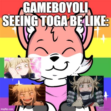 Toga Imgflip