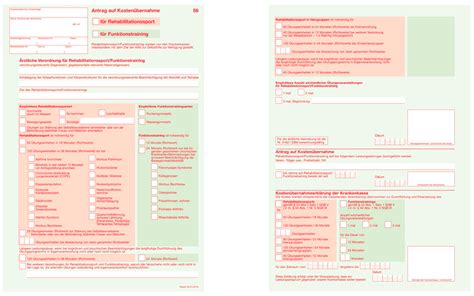 Rehasportverordnung Alles was Sie zum Muster 56 wissen müssen