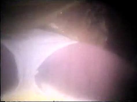 bangla canción muy caliente XVIDEOS