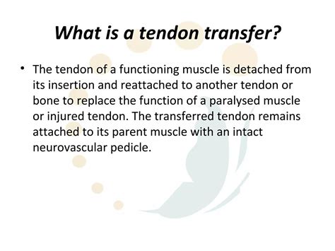 Radial Nerve Palsy Tendon Transfers PPT