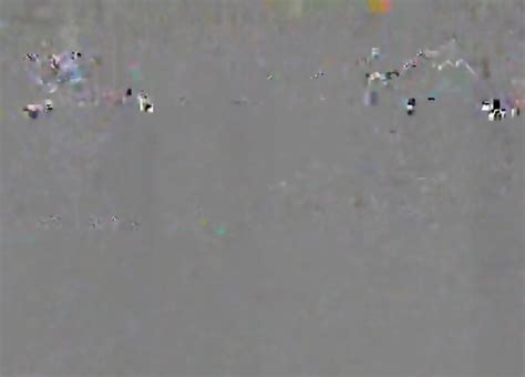 Long Lips Pussy In Cam