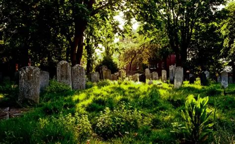 Неожиданная находка: фото заброшенных еврейских кладбищ Лондона - BBC ...