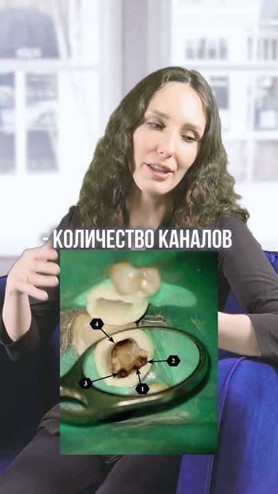 Компьютерная томография в эндодонтии #стоматология #лечениезубов #зубы ...