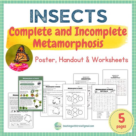 Complete And Incomplete Metamorphosis