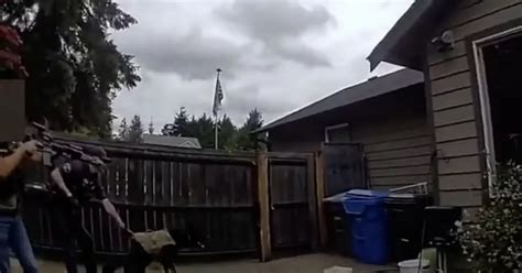 Naked Suspect Leads Armed Police On Wild Chase Before Trying To Hide In Bin The Mirror