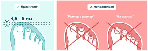 Размерная сетка кроссовок Котофей: особенности обуви, как подобрать ...