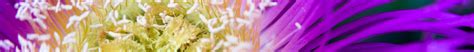 Jose Antonio Verde Rodriguez Behance
