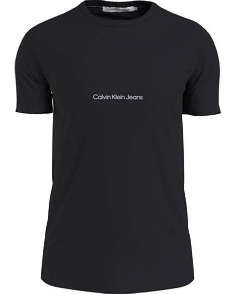 Calvin Klein J30j322848 T Shirt