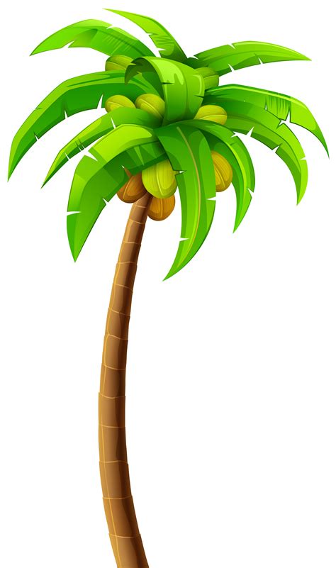 Palmera Dibujo Png Palmera Png Images