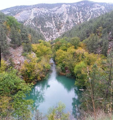 Река Черная Фото – Telegraph