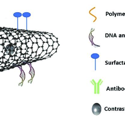 Schematic Representation Of Surface Functionalization And Loading Of