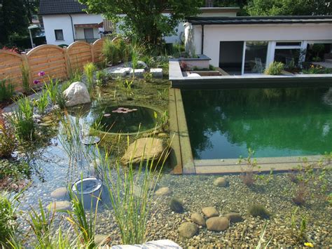 Blue Iris Pools: Natural Swimming Pools now in India