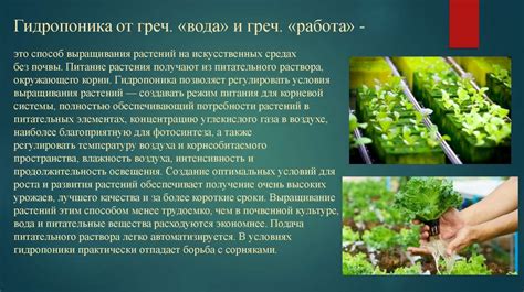 Гидропоника, гидрокультура. Посадка растений на гидропонику - online ...