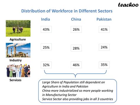 [Class 12] Contribution to Gross Value Added of Different Sectors