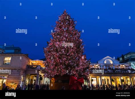England London Covent Garden Covent Garden Christmas Tree