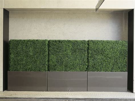 Artificial Boxwood Green Wall Treescapes And Plantworks