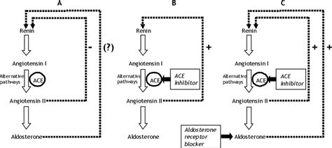 Figure 3 From Optimal Blockade Of The Renin Angiotensin System In