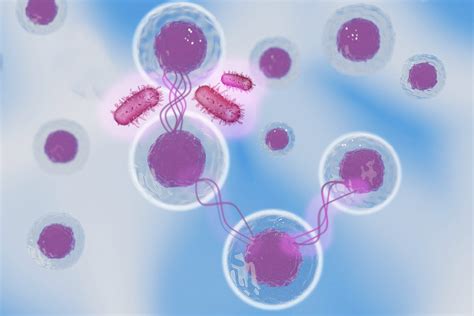 Biorezonans - BioHarmonia - diagnoza oraz bioterapia dorosłych i dzieci