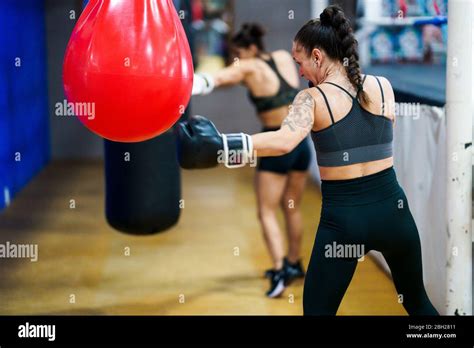Female Boxers Training At Punch Bag In Gym Stock Photo Alamy