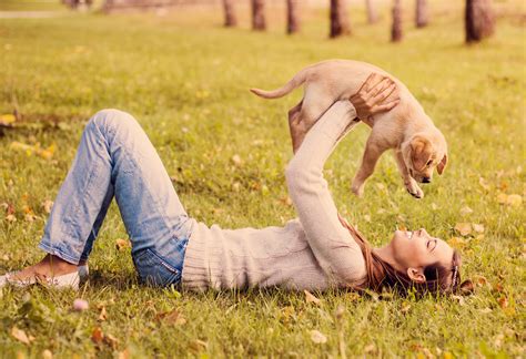 How To Easily Choose The Best Pet Care Kennel For Your Dog Lxp