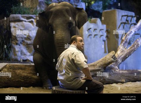 Kevin James Zookeeper 2011 Stock Photo Alamy