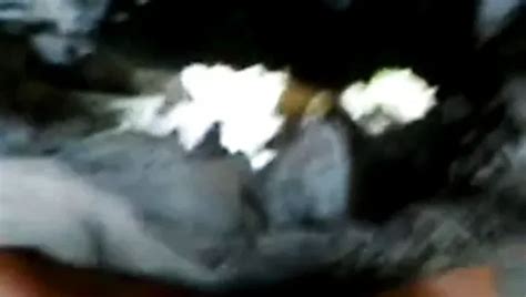 Indo Gak Mau Tapi Dimasukin Indonesian Mom Amateur Porn XHamster