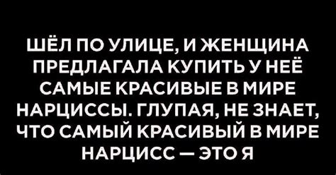 Нарциссы | Пикабу