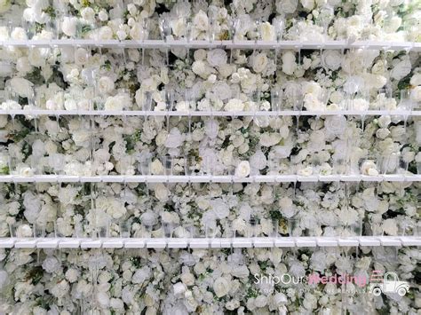 Wedding Flower Wall... Rent DIY White Light Green Decor! (Ships FREE)