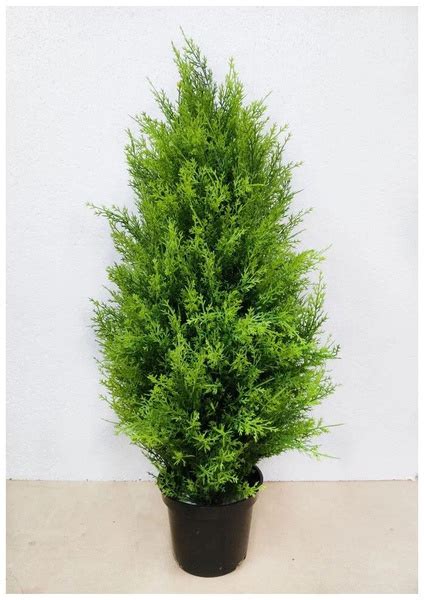 Купить Искусственная Туя светлая 60 см по выгодной цене в интернет ...