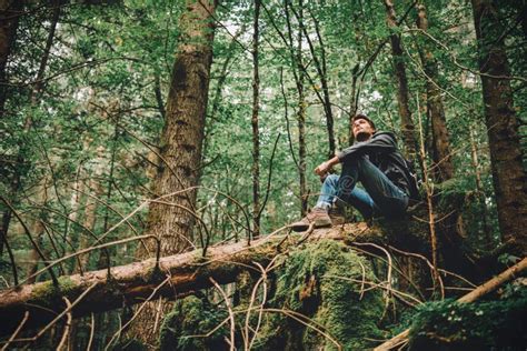 Young Man Exploring A Forest Stock Image Image Of Nature Alone 61552471