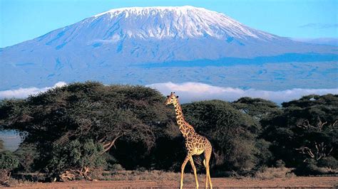 Kilimanjaro National Park, Tanzania ~ Must See how To?