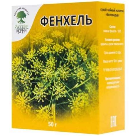 Фенхель. преимущества использования фенхеля для красоты и здоровья