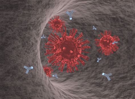 Covid Antibody Test (IgM-IgG) | @700/- Only | Free Home Visit