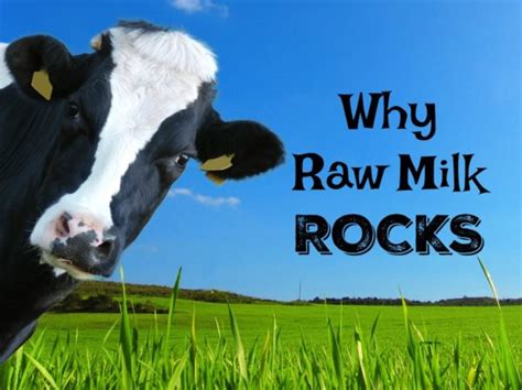 Raw Milk Benefits for Food and Family | Healthy Home Economist