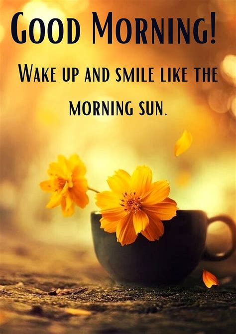 Good Morning Sunshine Wallpapers