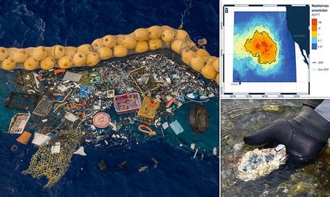 Ocean species found living on the 'Great Pacific Garbage Patch' | Daily ...