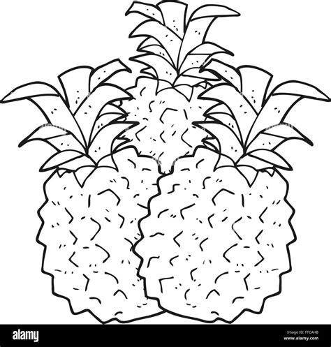 Freehand Drawn Black And White Cartoon Pineapple Stock Vector Image