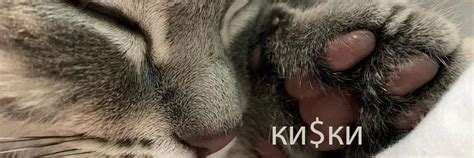 ки$ки | ну котики, что еще сказать 2025 | ВКонтакте