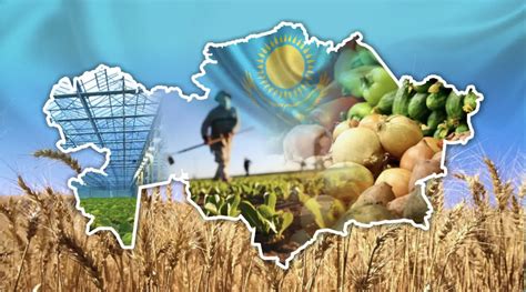 Kazakhstan to Boost Food Security by 2035, Say Experts - The Astana Times
