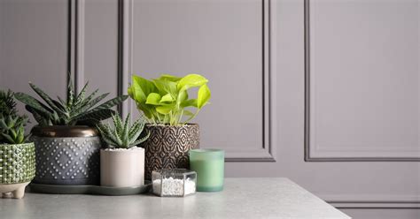 B2B – polnix.com.pl