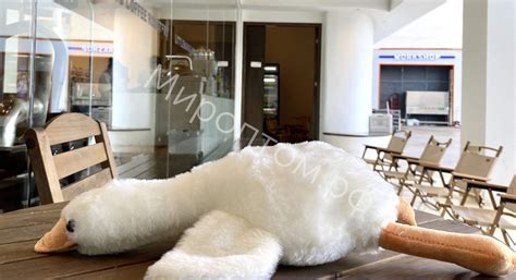 Гусь обнимусь оптом (все размеры) - купить по выгодной цене | Мироптом.рф