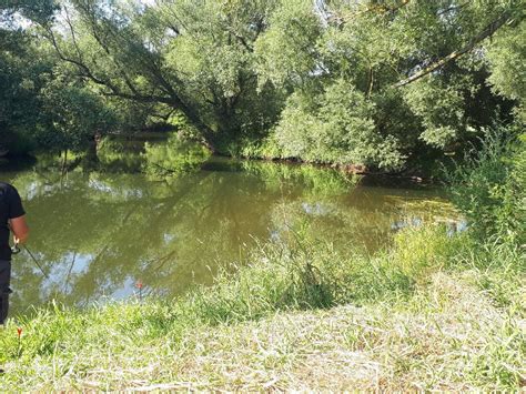 Werra (Tiefenort) | ALLE ANGELN