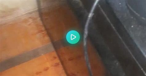 my pc used to be really silent but now it makes this weird noise : r ...