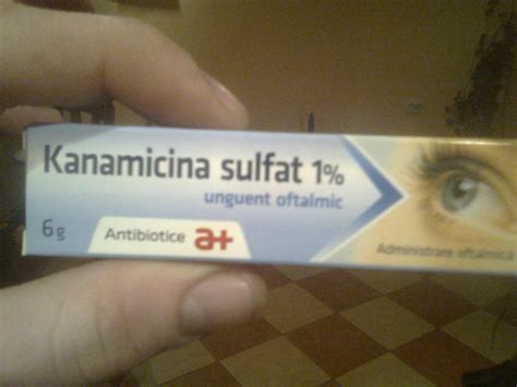 Medicamentele Si Mancarea Iepurasilor Alexcoroama