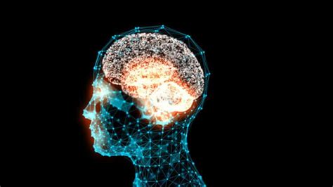 Kudzu Recovery For Alcoholics: How It Works – Fit Recovery