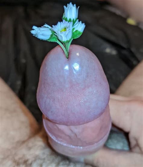 A Living Vase For Cute Pussies Nude Pics Xhamster