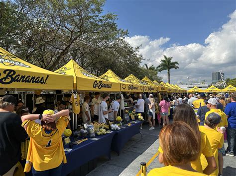 Savannah Bananas 2025 Tour: What to Expect at the Ultimate Baseball