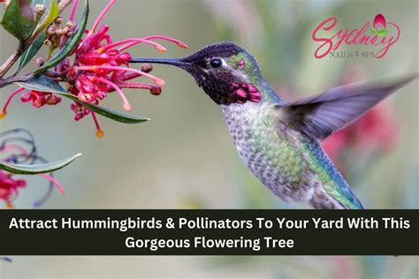 Attract Hummingbirds & Pollinators To Your Yard With This Gorgeous ...